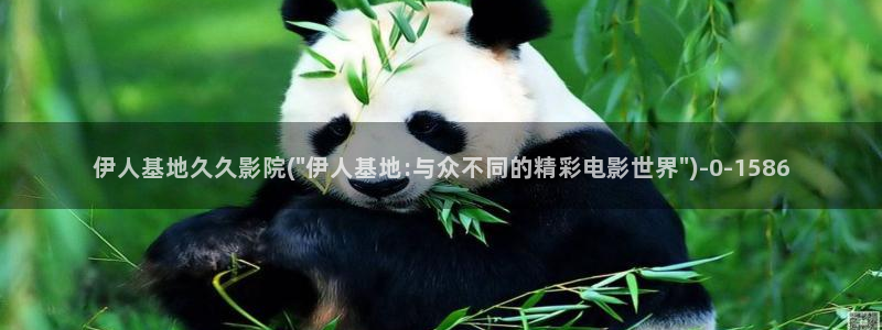 伊人久久影院小说