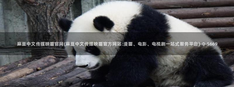麻豆视频排行