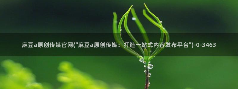 麻豆视频描述规则