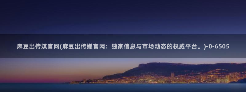 麻豆视频文章描述