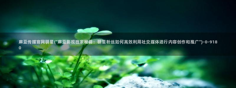麻豆演员：麻豆传媒官网明星(\