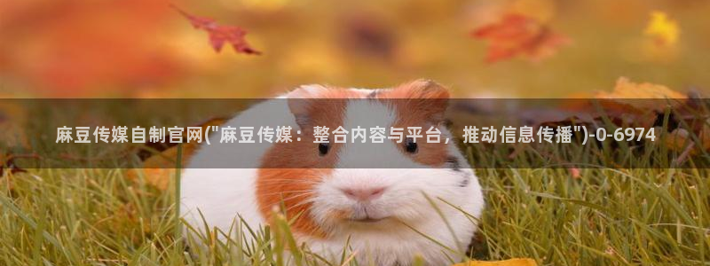 麻豆视频栏目文案：麻豆传媒自制官网(\