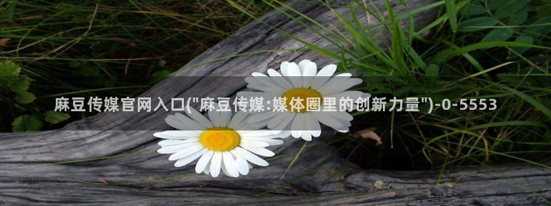 麻豆视频资源站