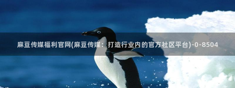 麻豆视频推荐内容