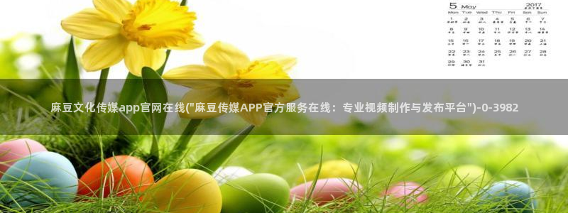麻豆视频百度优化