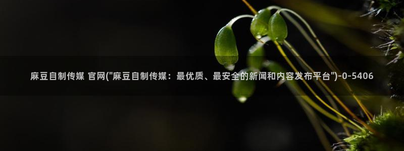 麻豆视频关于我们