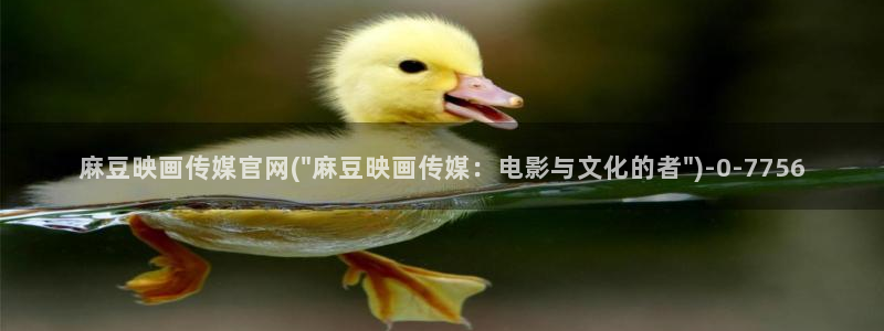 麻豆视频指南文案