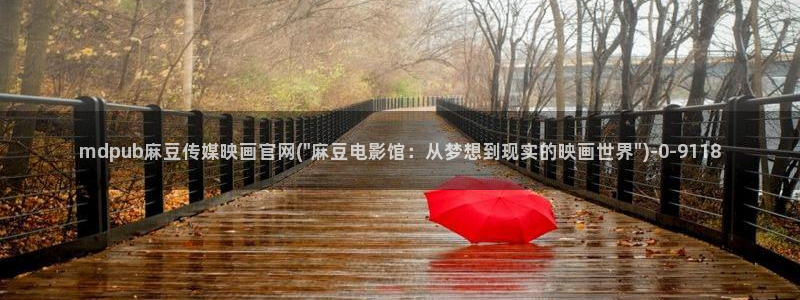 麻豆演员描述