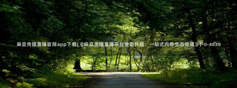 麻豆剧情解析