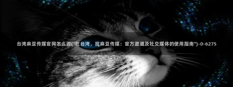 麻豆视频采集规则