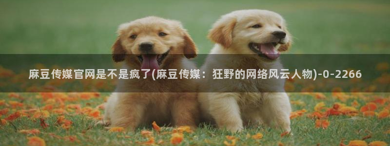 麻豆精品内容