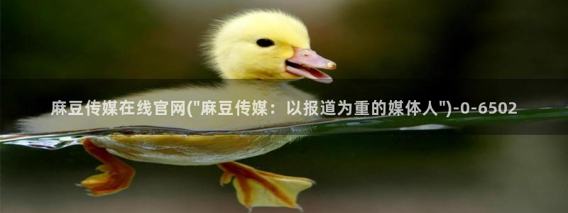 麻豆视频封面