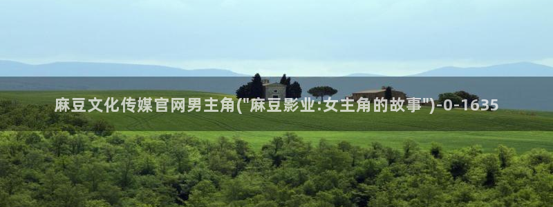 麻豆传媒合集