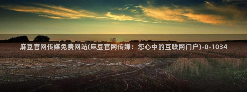 麻豆都市剧情