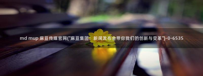 麻豆榜单标题