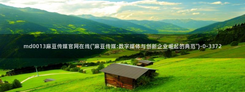 麻豆视频资料文案