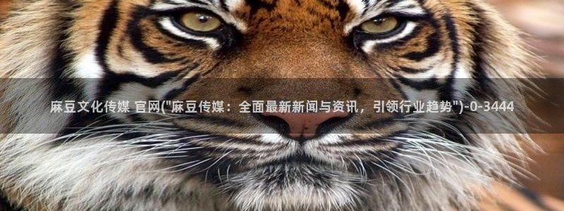 麻豆传媒在线观看