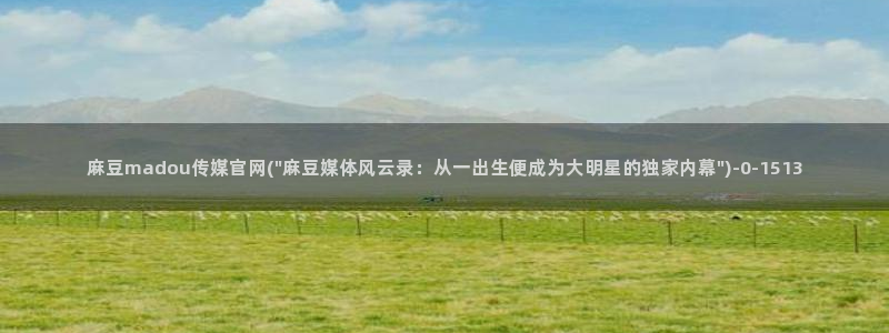 麻豆视频内容维护