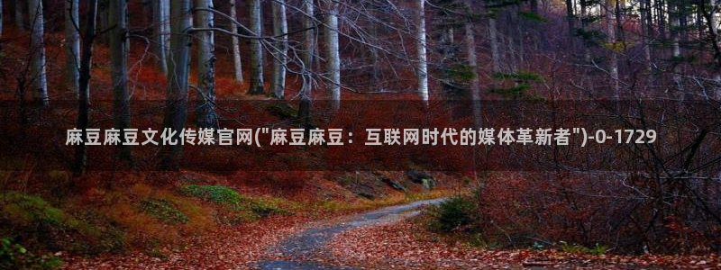 麻豆视频相关搜索