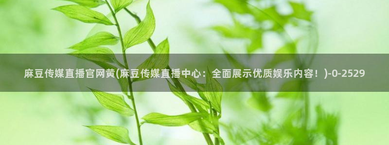 麻豆视频栏目文案
