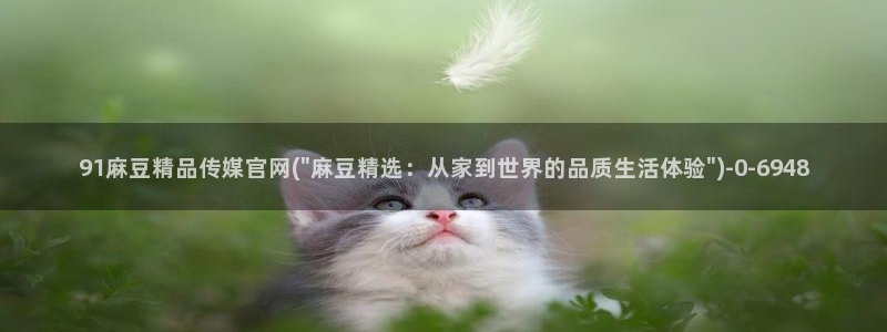 麻豆视频自动更新