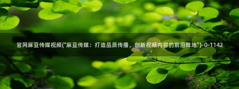 麻豆视频内容维护