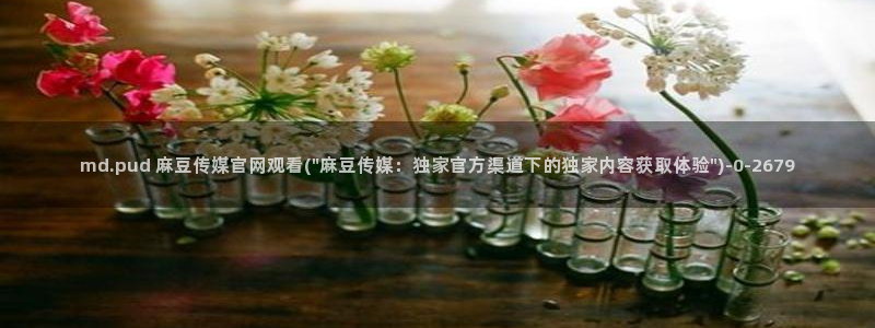 麻豆视频