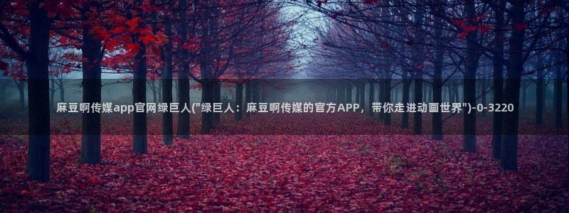 麻豆视频演员文案