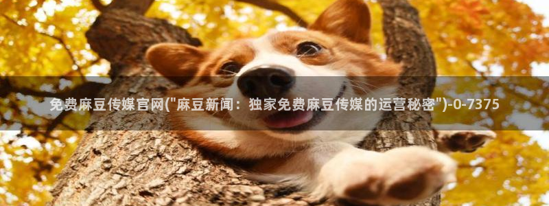麻豆视频搜索